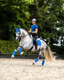 Equestrian Stockholm Dressage Saddle Pad Sapphire -Lemieux Store 293429544 2092051784300574 6472598355894212949 n