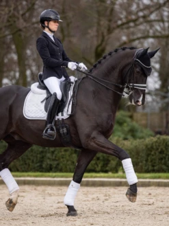 LeMieux Crystal Suede Dressage Saddle Pad White -Lemieux Store 3 cd6d0275 035e 425b 9994 3239c2dd9cf1