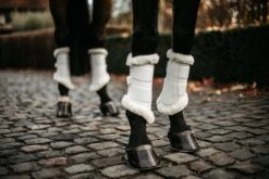 Kentucky Horsewear Kentucky Air Brushing Boots White -Lemieux Store 9c578cd89a83729403dd4d0b71056c47889ac56005d37820ec3c095b9f94795f