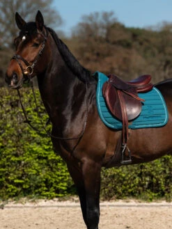 PS Of Sweden Stripe Jump Saddle Pad Jade Noir 6 PS Of Sweden Stripe Jump Saddle Pad Jade Noir -Lemieux Store B7CC2941 27D3 49B4 A044 F2C582309A66