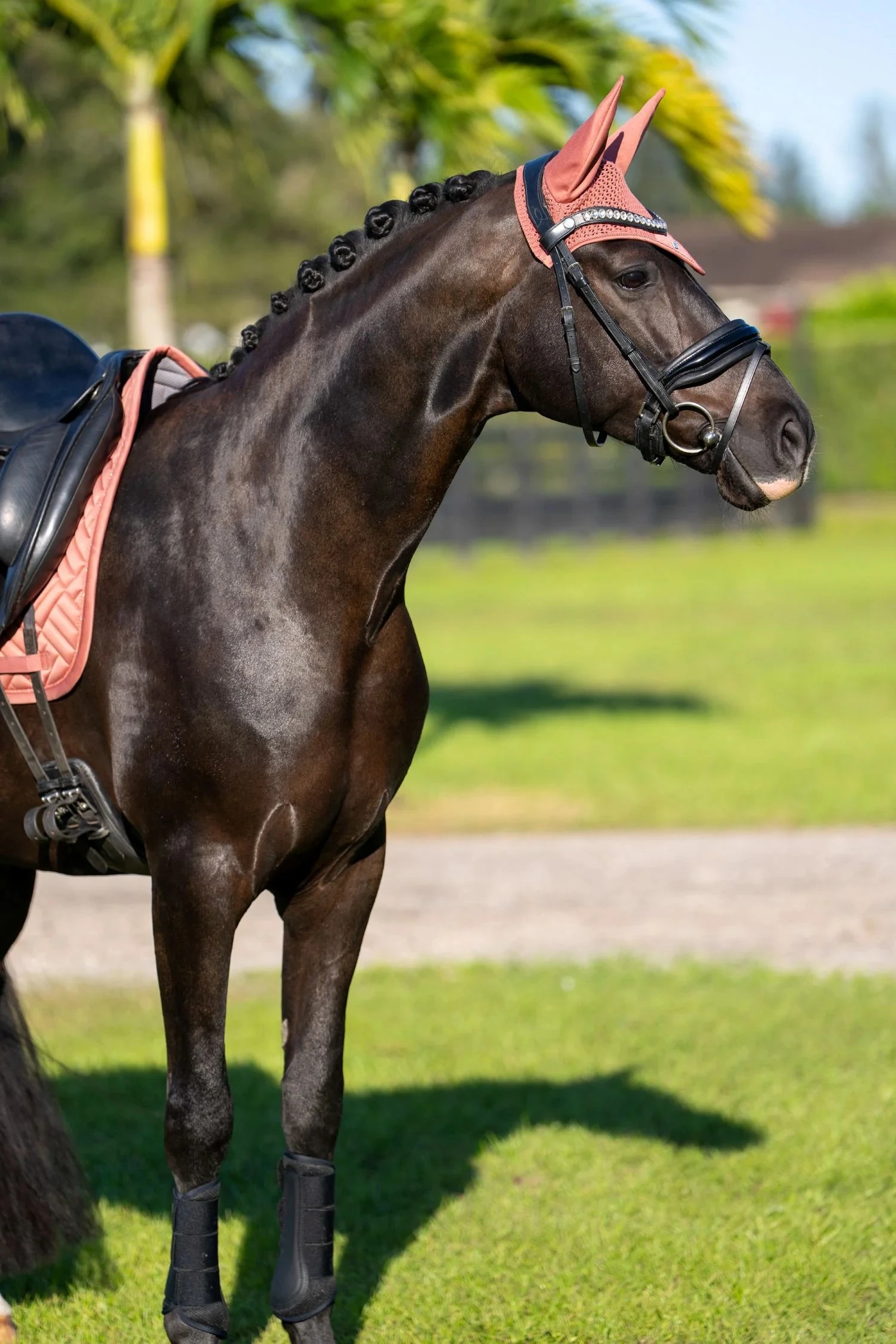 Equestrian Stockholm Ear Bonnet Coral 2 Equestrian Stockholm Ear Bonnet Coral - Image 2