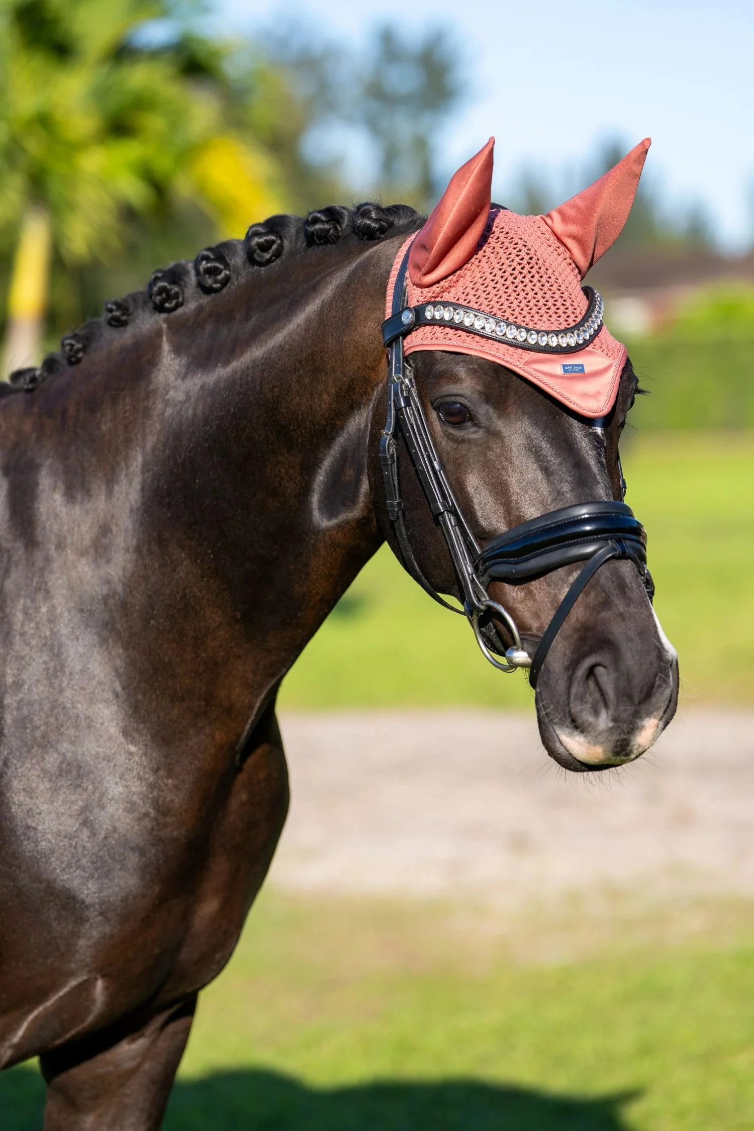 Equestrian Stockholm Ear Bonnet Coral 3 Equestrian Stockholm Ear Bonnet Coral - Image 3