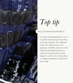 Premier Equine Cold Water Boots -Lemieux Store Cold Water Boots 7 2048x ee3a291c 07d3 42e1 abd4 cb3ebf6aae6d