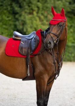 Maximilian Velvet Jump Saddle Pad Crimson -Lemieux Store CrimsonHorse1 1567b182 025e 42c2 85b3 a8528cfee4cd