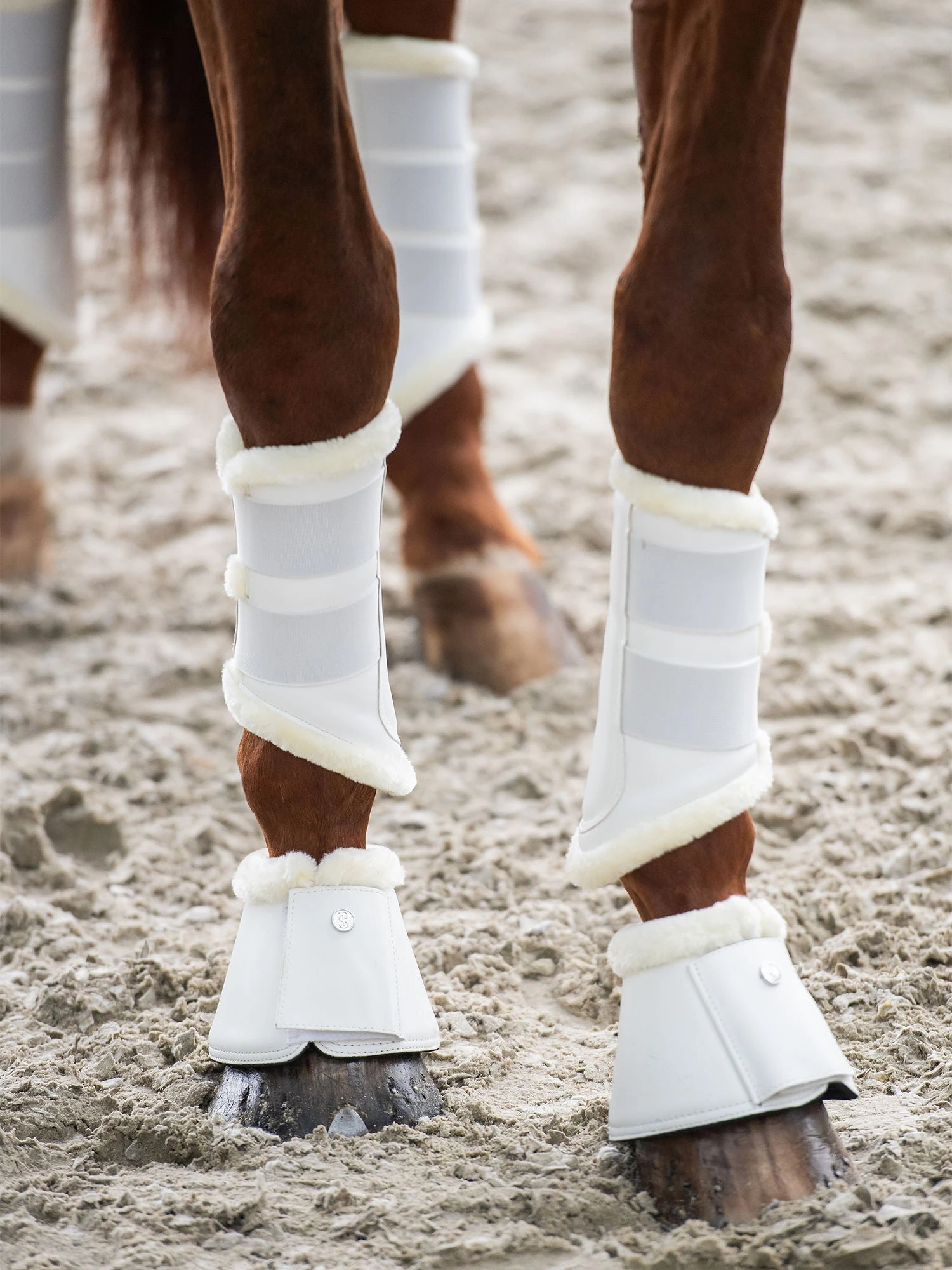 PS Of Sweden Premium Fleece Brushing Boots White (set Of 4) 1 PS Of Sweden Premium Fleece Brushing Boots White (set Of 4)