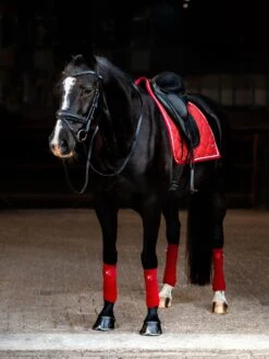 PS Of Sweden Stardust Dressage Saddle Pad Dark Red 8 PS Of Sweden Stardust Dressage Saddle Pad Dark Red -Lemieux Store DSC 6457 1