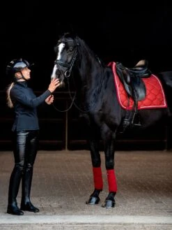 PS Of Sweden Stardust Dressage Saddle Pad Dark Red 9 PS Of Sweden Stardust Dressage Saddle Pad Dark Red -Lemieux Store DSC 6532 2