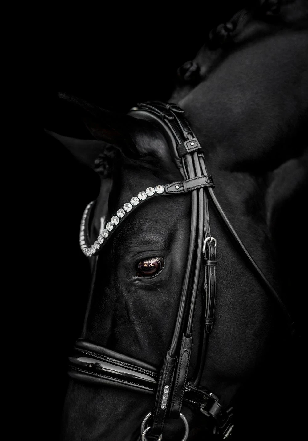 Utzon Equestrian Empire Browband Clear 2 Utzon Equestrian Empire Browband Clear - Image 2