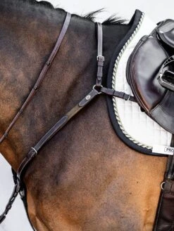 Lemieux Store -Lemieux Store DSC 8895