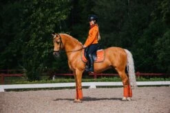 Equestrian Stockholm Dressage Saddle Pad Brick Orange -Lemieux Store DSC 8997 1