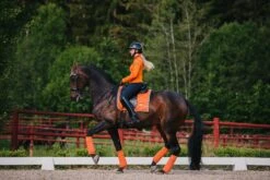 Equestrian Stockholm Dressage Saddle Pad Brick Orange -Lemieux Store DSC 9394