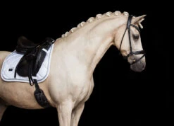 Equestrian Stockholm Bandages White Perfection Silver -Lemieux Store Dressage Saddle pad White perfection silver 1