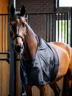 LeMieux Anti Rub Bib -Lemieux Store ES Soft Rouge 15