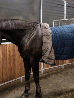 Kentucky Horsewear Kentucky Nylon Walker Girth -Lemieux Store I 51