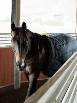 Kentucky Horsewear Kentucky Nylon Walker Girth -Lemieux Store I 59