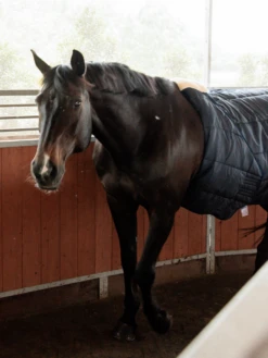 Kentucky Horsewear Kentucky Nylon Walker Girth -Lemieux Store I 60