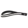 SD Design Mystery Browband Clear