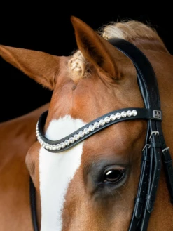 SD Design Mystery Browband Clear -Lemieux Store I 69