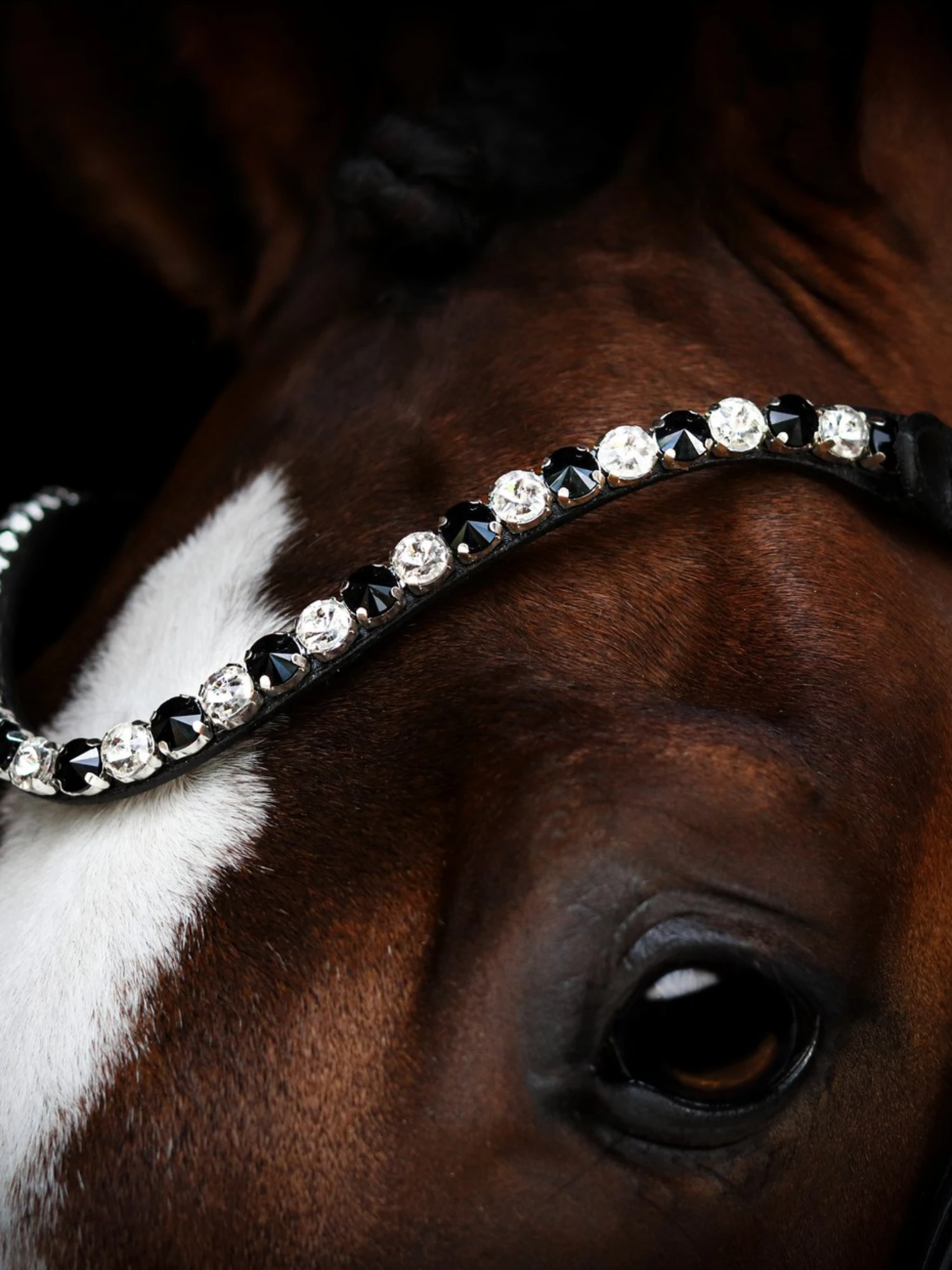 SD Design L Únique Browband Onyx 2 SD Design L Únique Browband Onyx - Image 2