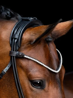 SD Design Rapsody Browband Crystal -Lemieux Store I 74