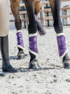 Kentucky Horsewear Kentucky Velvet Contrast Brushing Boots Purple 4-Pack -Lemieux Store KENTUCKY 35