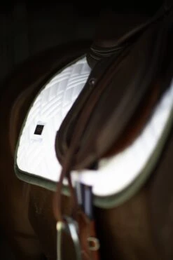 Equestrian Stockholm Modern Jump Saddle Pad White Striking Valley -Lemieux Store MG 0180