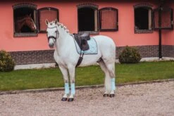 Equestrian Stockholm Dressage Saddle Pad Ice Blue -Lemieux Store MG 1250 5ada8eea 26f2 47e6 b614 aaf3a6a1e75e