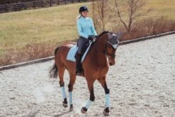 Equestrian Stockholm Bandages Ice Blue -Lemieux Store MG 1489