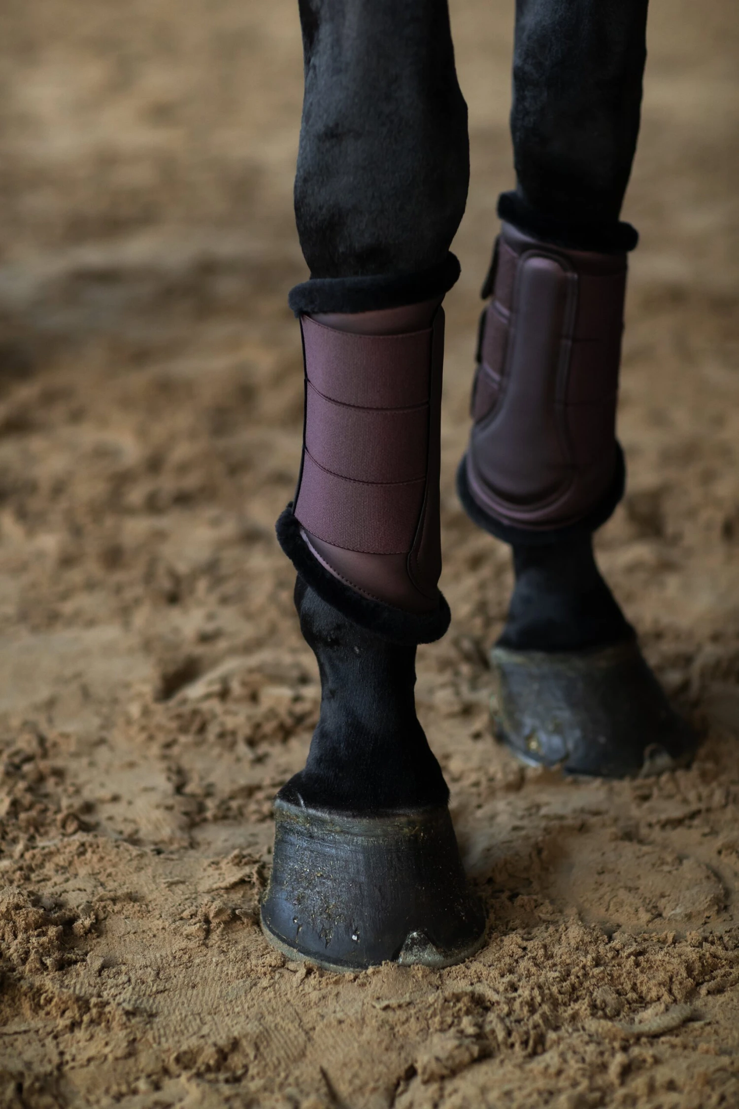 Equestrian Stockholm Fleece Brushing Boots Endless Glow 3 Equestrian Stockholm Fleece Brushing Boots Endless Glow - Image 3