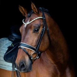 SD Design Be Tempted Browband Peppermint Cake Pop -Lemieux Store R 1016 SD Be Tempted browband6 1