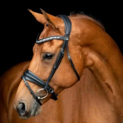 SD Design Vivaldi Browband Clear -Lemieux Store R 1206 SD VIvaldi bridle 1