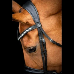 SD Design Vivaldi Browband Clear -Lemieux Store R 1206 SD VIvaldi bridle5 1