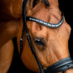 SD Design Vivaldi Browband Clear -Lemieux Store R 1206 SD Vivaldi bridle2 1