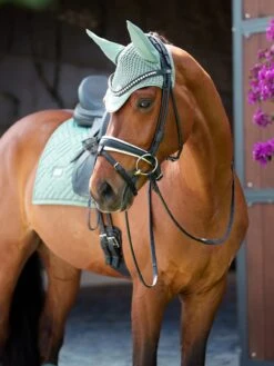 Equestrian Stockholm Dressage Saddle Pad Modern Mint -Lemieux Store Rityta 1 a45f9c6b 222a 483b bfb6 f0ed74312f63