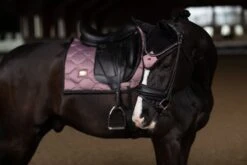 Equestrian Stockholm Dressage Saddle Pad Anemone -Lemieux Store SA 2991 e 2
