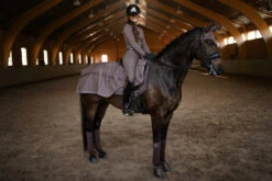 Equestrian Stockholm Exercise Rug Amaranth 5 Equestrian Stockholm Exercise Rug Amaranth -Lemieux Store amaran3 2