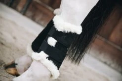 Kentucky Horsewear Kentucky Air Brushing Boots Black -Lemieux Store bc6d7f41a1930bac34ec9225b33cb0396384fcf030ce284f871b757175ef866a