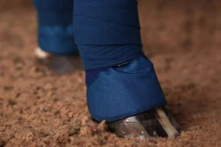 Equestrian Stockholm Bandage Pads Blue Meadow -Lemieux Store blue meadow bandages pad bandageunderlagg bandagen pad verbandkussen on2