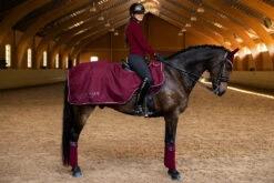 Equestrian Stockholm Exercise Rug Bordeaux -Lemieux Store bordeaux exercise rug landtacke trainingsdecke training deken on1