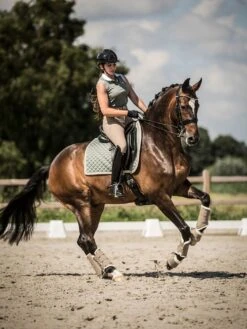 PS Of Sweden Bow Dressage Saddle Pad & Bandages Thyme -Lemieux Store bowdressagethyme3 28aaae8c 0ac4 4e97 a13d f269b4c1d179