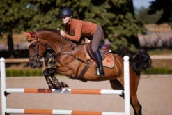 Equestrian Stockholm Jump Saddle Pad Bronze Gold 6 Equestrian Stockholm Jump Saddle Pad Bronze Gold -Lemieux Store bronze gold showjumppadd equestrian stockholm 3 webb