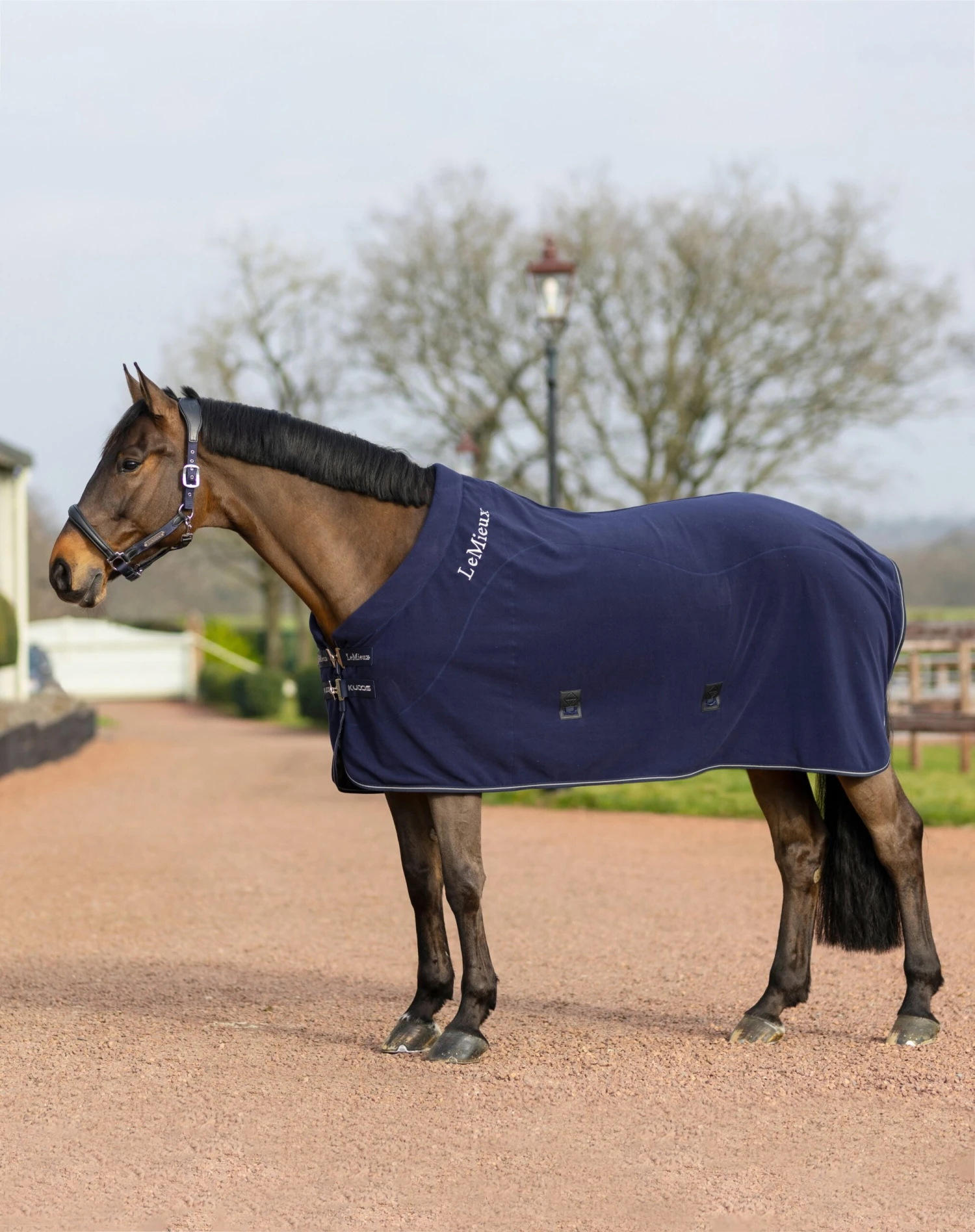 LeMieux Kudos Fleece Cooler Rug Navy 1 LeMieux Kudos Fleece Cooler Rug Navy