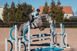 Equestrian Stockholm Ear Bonnet Ice Blue -Lemieux Store ice blue ear net equestrian stockholm 1