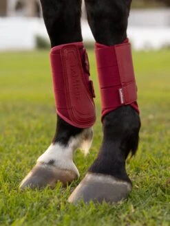 LeMieux Arika Mesh Brushing Boots Ember -Lemieux Store it05330 lifestyle arikameshbrushingboots ember 2