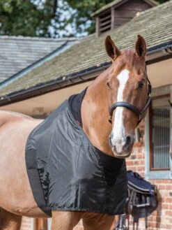 LeMieux Anti Rub Bib -Lemieux Store lm antirubbib1 hr3000x4000 2