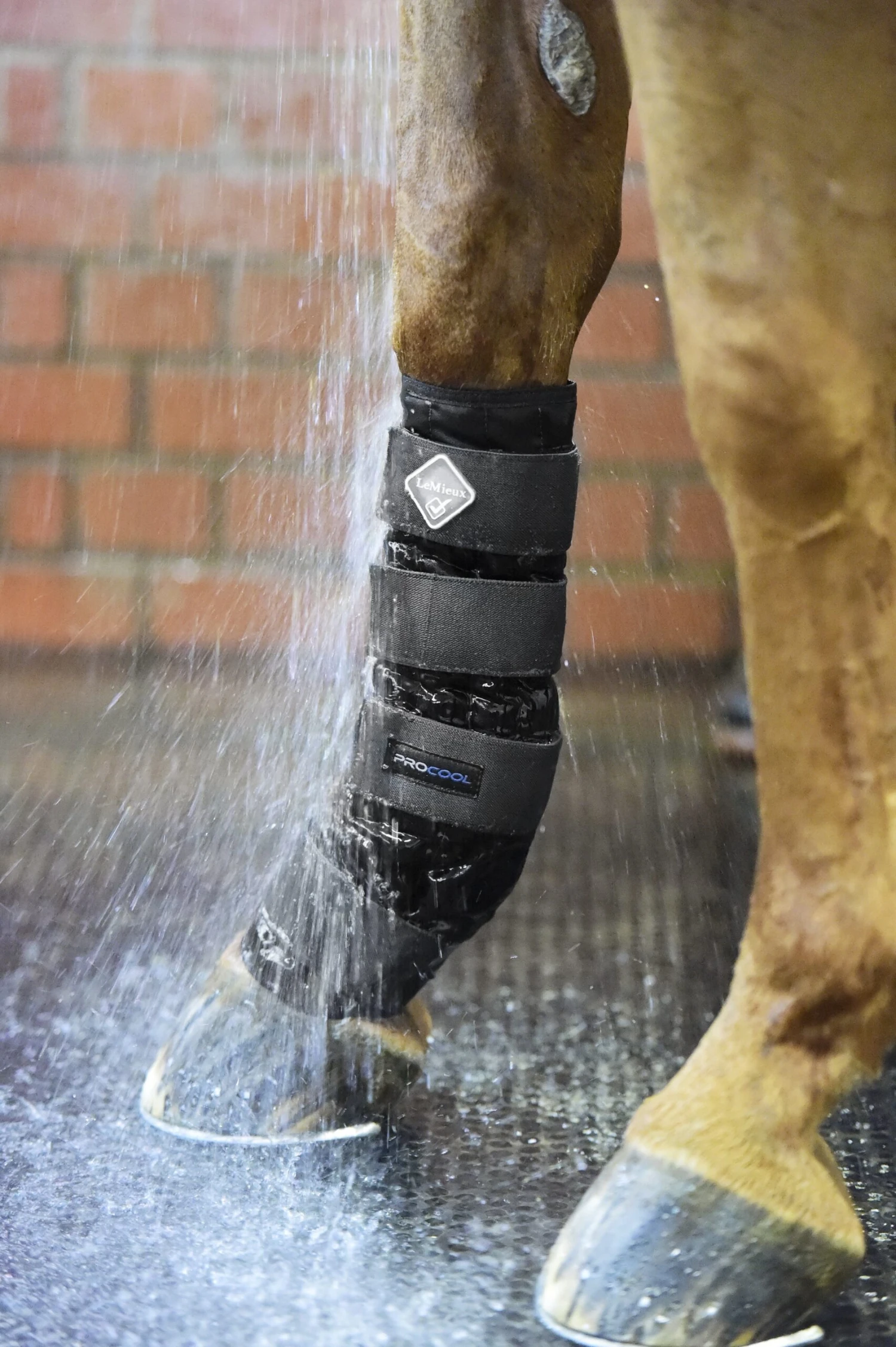 LeMieux Cold Water Boots 1 LeMieux Cold Water Boots