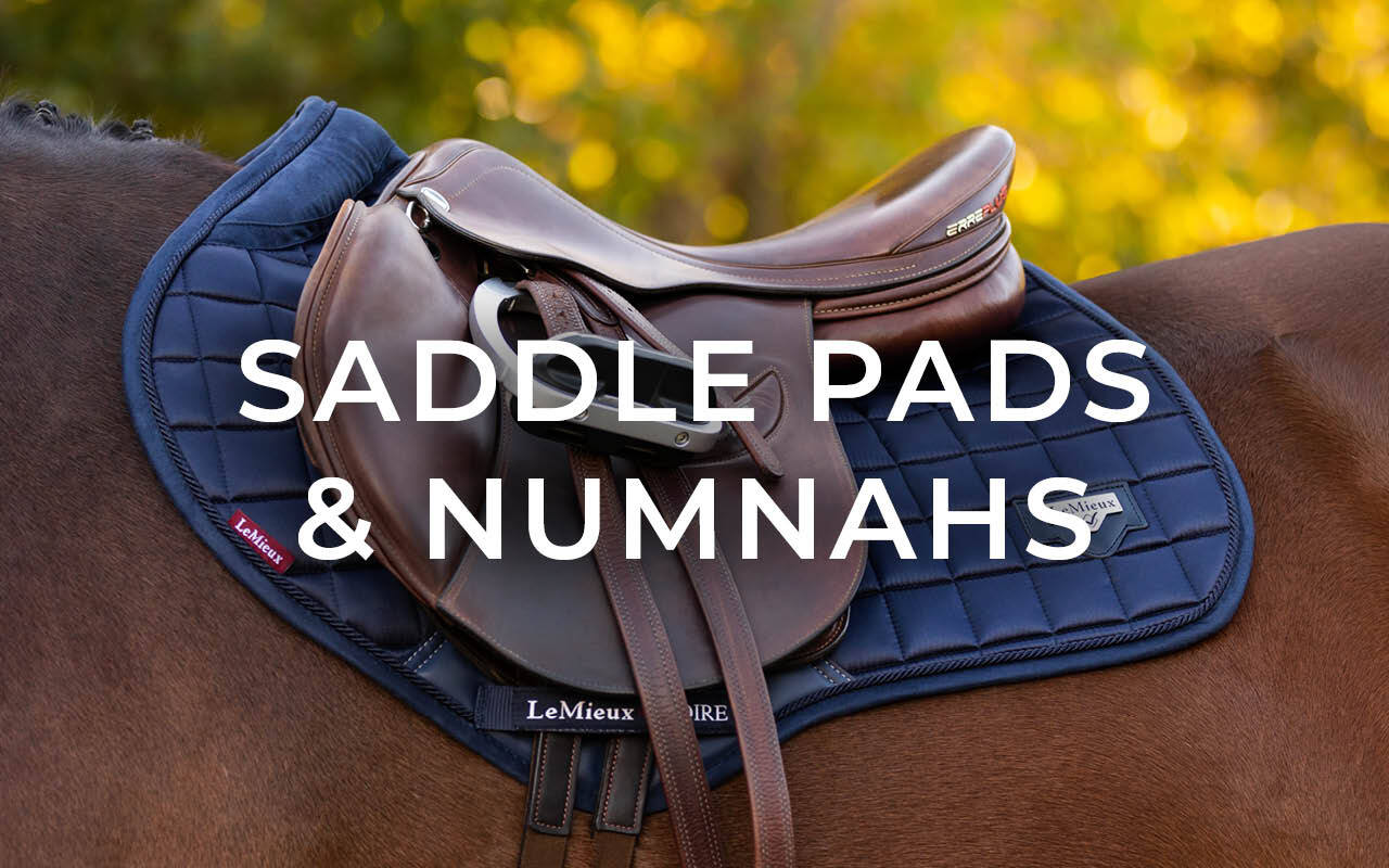 Lemieux Store -Lemieux Store uk horse saddlery category tiles 01